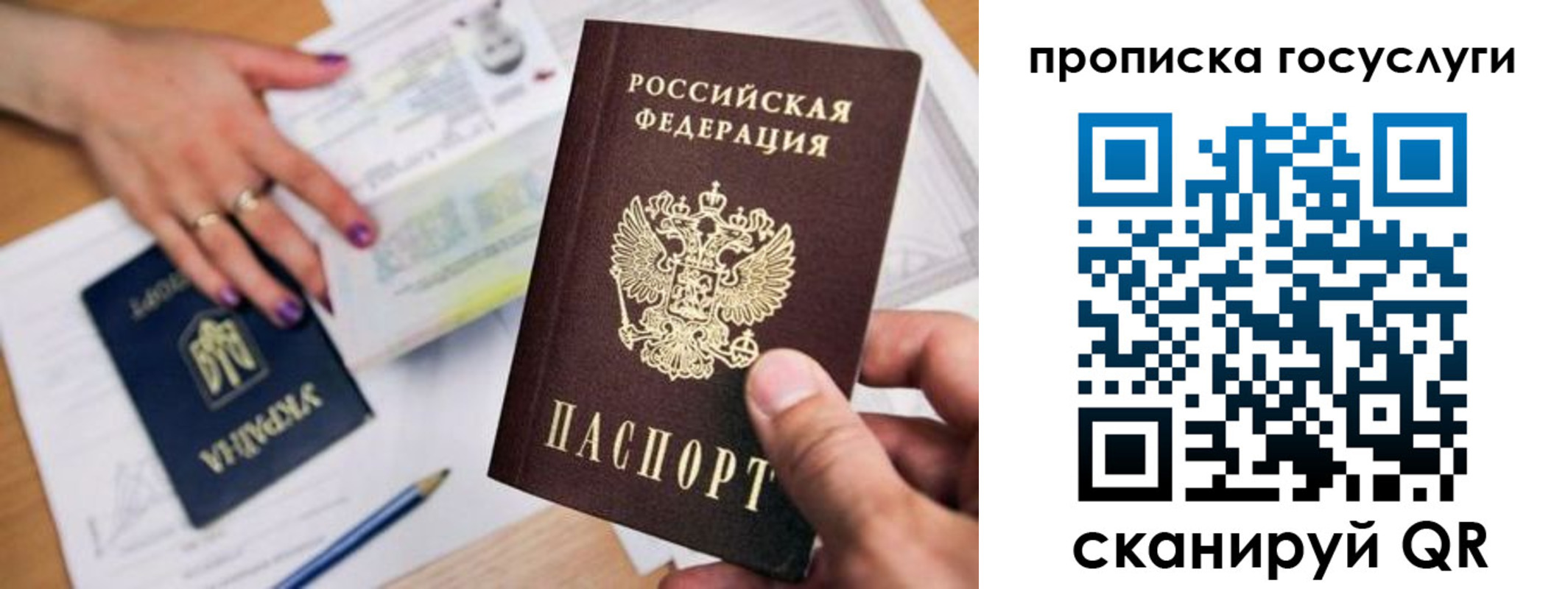 временная прописка в Дальнегорске